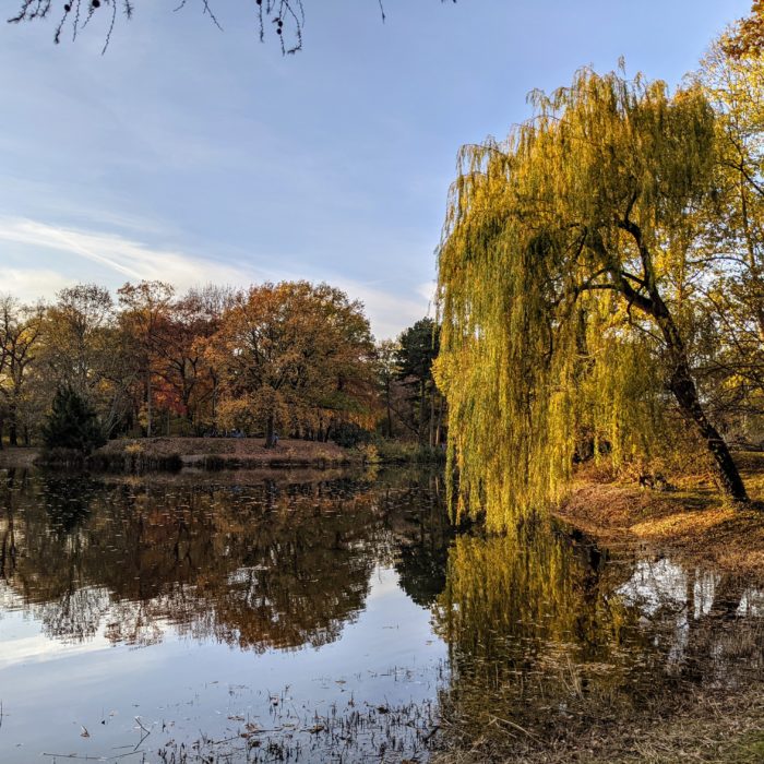 Am Teich - Palmengarten, Leipzig