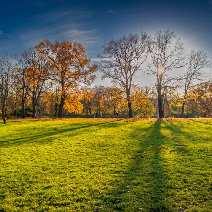 Herbstsonne, -licht und -schatten - Clara-Zetkin-Park, Leipzig